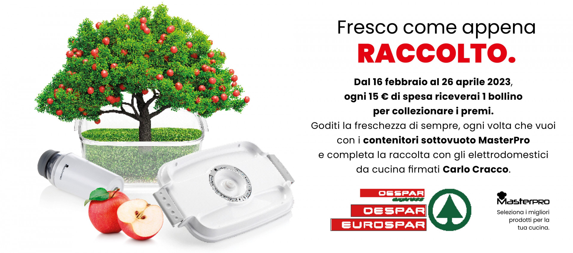  FESCO COME APPENA RACCOLTO